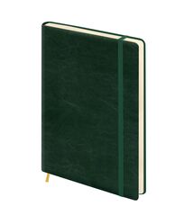 Щоденник недатований А5, 176 аркушів, крем.лінія, обкладинка штучна шкіра, зелений, на гумці