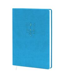 Щоденник недатований А5 в клітинку Vivella блакитний