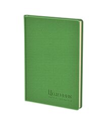 Щоденник вчителя і вихователя А5, штучна шкіра, салатовий