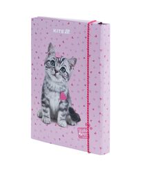 Папка для зошитів В5 на гумці картон, SP