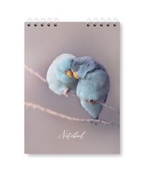 Блокнот A5, 48 арк., клітинка, обкладинка картон, пружина, Серія "Пташки"