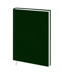 Щоденник недатований А6 в клітинку Ariane зелений