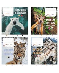 Зошит учнівський повноколірний загальний 36 арк., лінія. Серія 217"Селфі"