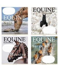 Зошит учнівський повноколірний загальний 48 арк., клітинка. Серія 219"Коні"