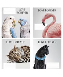 Зошит учнівський повноколірний 24 арк., клітинка. Серія 220"Прикраси"