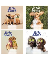 Зошит учнівський повноколірний 24 арк., клітинка. Серія 232"Наші друзі"