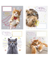 Зошит учнівський повноколірний 12 арк., клітинка. Серія 233"Настрій Мяу"