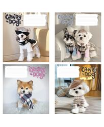 Зошит учнівський повноколірний 12 арк., клітинка. Серія 239"Песики"