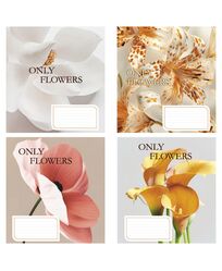 Зошит учнівський повноколірний 24 арк., лінія. Серія 266"Великі квіти"