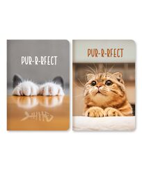 Записна книжка А6 в клітинку Ламінація "Коти"