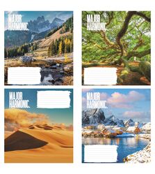 Зошит учнівський повноколірний 24 арк., клітинка. Серія 254"Наш світ"