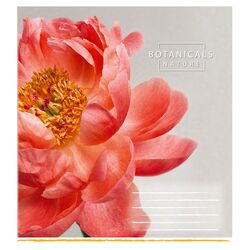 Зошит учнівський 12 арк., клітинка, обкладинка повноколірна Серія 159"Квітка"