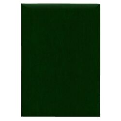 Папка ділова А4 Ariane зелений