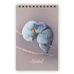 Блокнот А6, 48 арк., клітинка, обкладинка картон, пружина, Серія "Пташки"