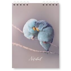 Блокнот A5, 48 арк., клітинка, обкладинка картон, пружина, Серія "Пташки"