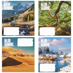 Зошит учнівський повноколірний 24 арк., клітинка. Серія 254"Наш світ"