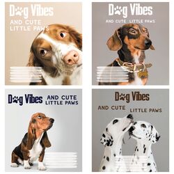 Зошит учнівський повноколірний 24 арк., лінія. Серія 231"Dog Vibes"