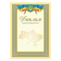 Диплом  16 01