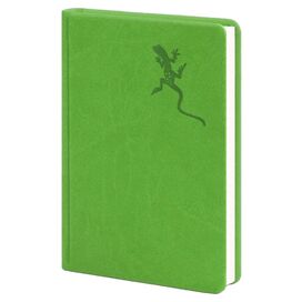 Щоденник недатований А6 в клітинку Vivella салатовий