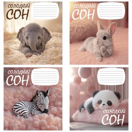 Зошит учнівський повноколірний 12 арк., клітинка. Серія 211"Солодкий сон"