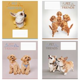 Зошит учнівський повноколірний 12 арк., клітинка. Серія 234"Домашні друзі"