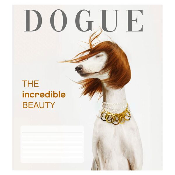 Зошит учнівський 24 арк., клітинка, обкладинка повноколірна Серія 133"DOGUE" Поліграфіст картинка 4