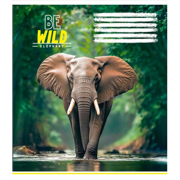 Зошит учнівський 24 арк., клітинка, обкладинка повноколірна Серія 123"Дикий світ" Зошит учнівський 24 арк., клітинка, обкладинка повноколірна Серія 123"Дикий світ" Поліграфіст картинка 6