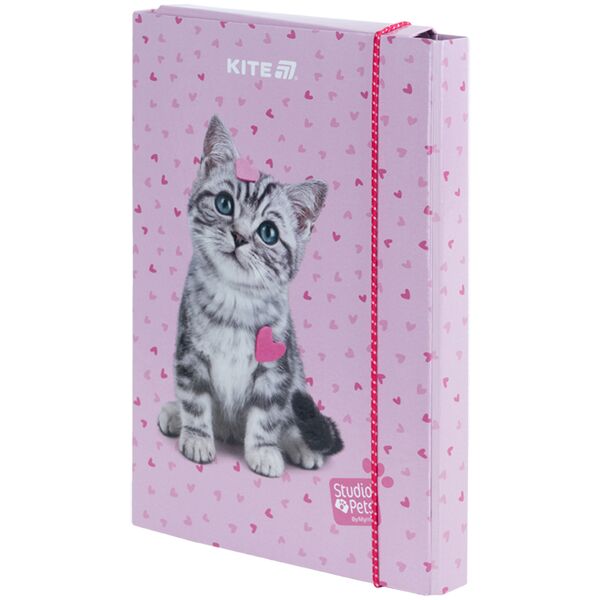 Папка для зошитів В5 на гумці картон, SP Поліграфіст