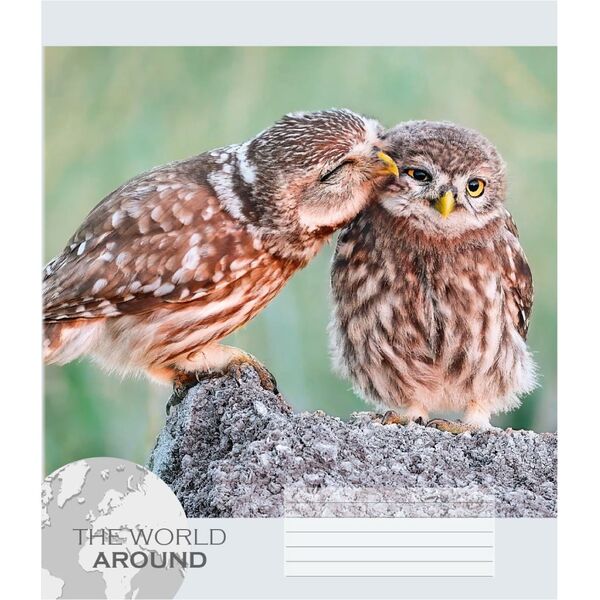 Зошит учнівський 12 арк., лінія, обкладинка повноколірна Серія 964"Тварини 2" Поліграфіст картинка 6