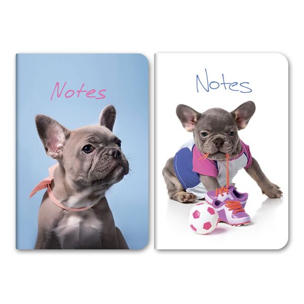 Записна книжка А6 в клітинку Ламінація "Песик" Поліграфіст