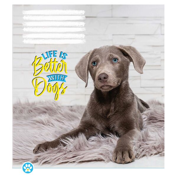 Зошит учнівський 12 арк., лінія, обкладинка повноколірна Серія 132"Життя чудове" Поліграфіст картинка 6