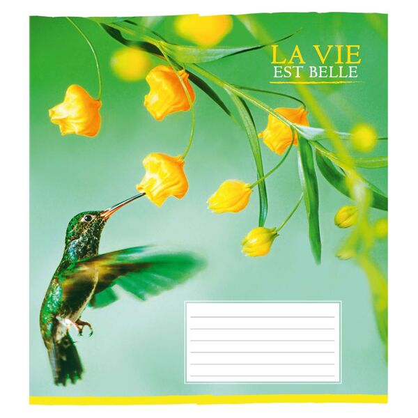 Зошит учнівський 18 арк., лінія, обкладинка повноколірна Серія 161"Гарні квіти" Поліграфіст картинка 6