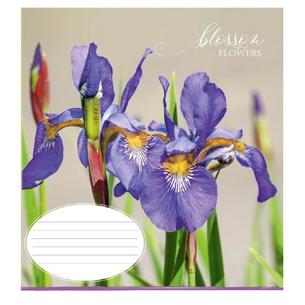 Зошит учнівський загальний 48 арк., лінія, обкладинка повноколірна Серія 834 "Квіти 1" Поліграфіст картинка 6