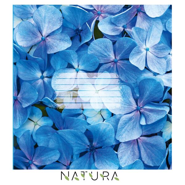 Зошит учнівський загальний 96 арк., клітинка, обкладинка повноколірна Серія 917"Natura" Поліграфіст картинка 6