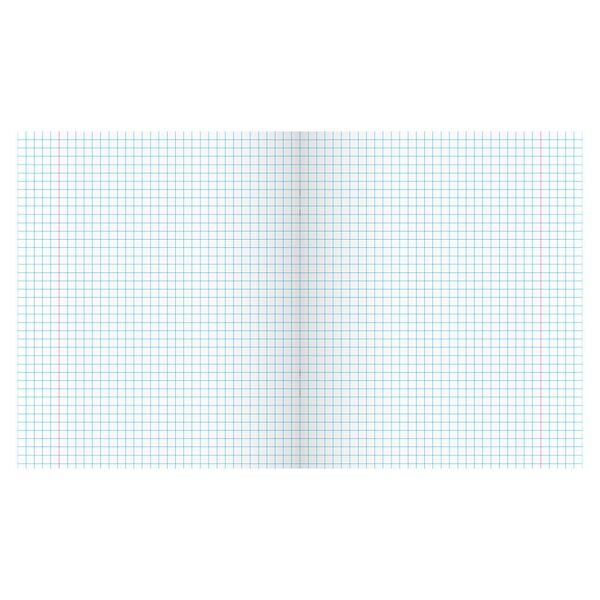 Зошит учнівський загальний 96 арк., клітинка, обкладинка повноколірна Серія 917"Natura" Поліграфіст картинка 5