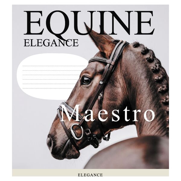 Зошит учнівський повноколірний загальний 48 арк., клітинка. Серія 219"Коні" Поліграфіст картинка 4