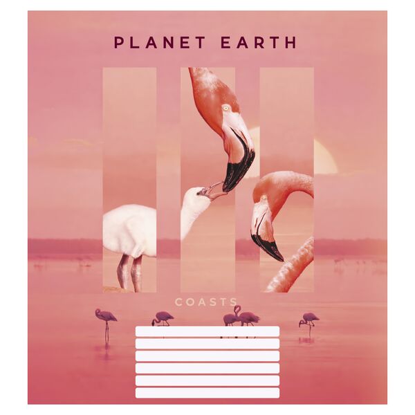 Зошит учнівський повноколірний загальний 48 арк., лінія. Серія 221"Планета Земля" Поліграфіст картинка 2