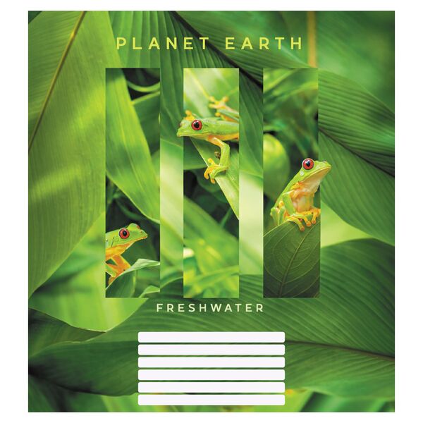 Зошит учнівський повноколірний загальний 48 арк., лінія. Серія 221"Планета Земля" Поліграфіст картинка 4