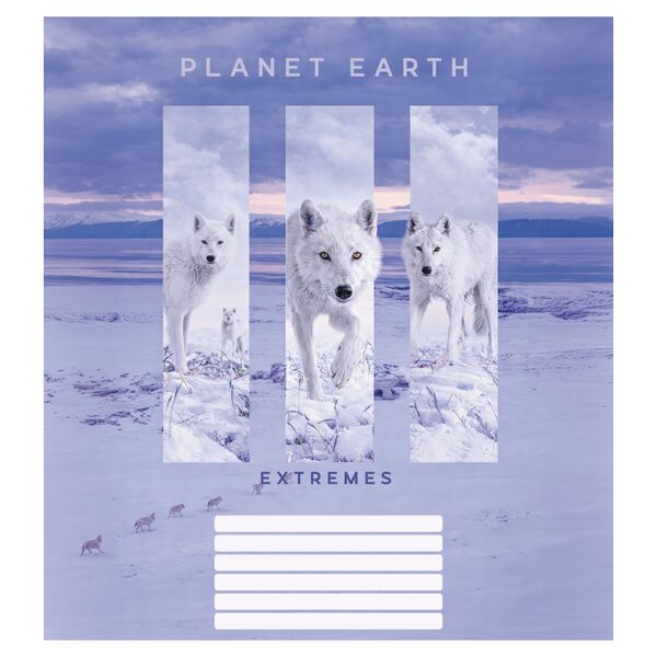 Зошит учнівський повноколірний загальний 48 арк., лінія. Серія 221"Планета Земля" Поліграфіст картинка 5