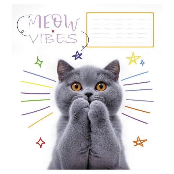 Зошит учнівський повноколірний 12 арк., клітинка. Серія 233"Настрій Мяу" Поліграфіст картинка 5