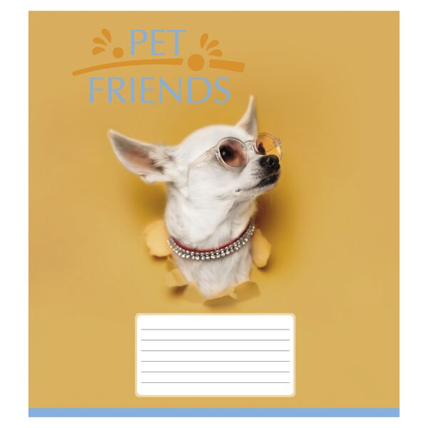 Зошит учнівський повноколірний 12 арк., клітинка. Серія 234"Домашні друзі" Поліграфіст картинка 3