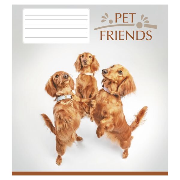 Зошит учнівський повноколірний 12 арк., клітинка. Серія 234"Домашні друзі" Поліграфіст картинка 4