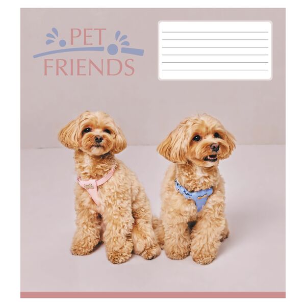 Зошит учнівський повноколірний 12 арк., клітинка. Серія 234"Домашні друзі" Поліграфіст картинка 5