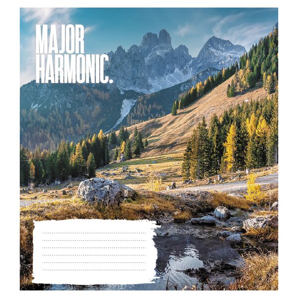 Зошит учнівський повноколірний 24 арк., клітинка. Серія 254"Наш світ" Поліграфіст картинка 3