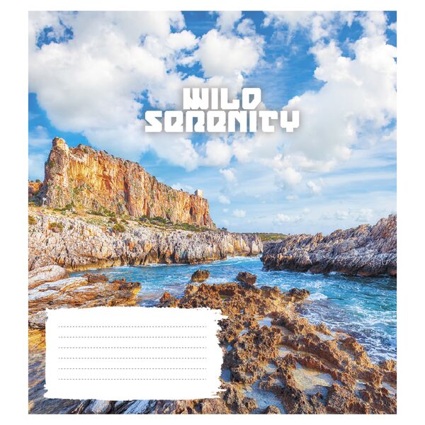 Зошит учнівський повноколірний 18 арк., клітинка. Серія 255"Гармонія" Поліграфіст картинка 3