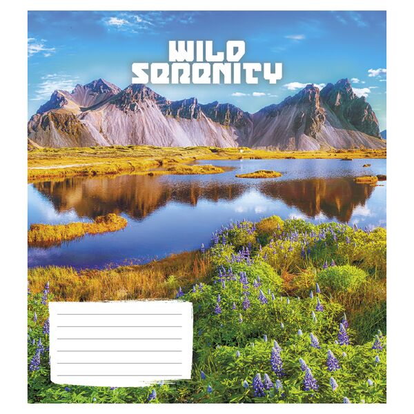 Зошит учнівський повноколірний 18 арк., лінія. Серія 255"Гармонія" Поліграфіст картинка 5