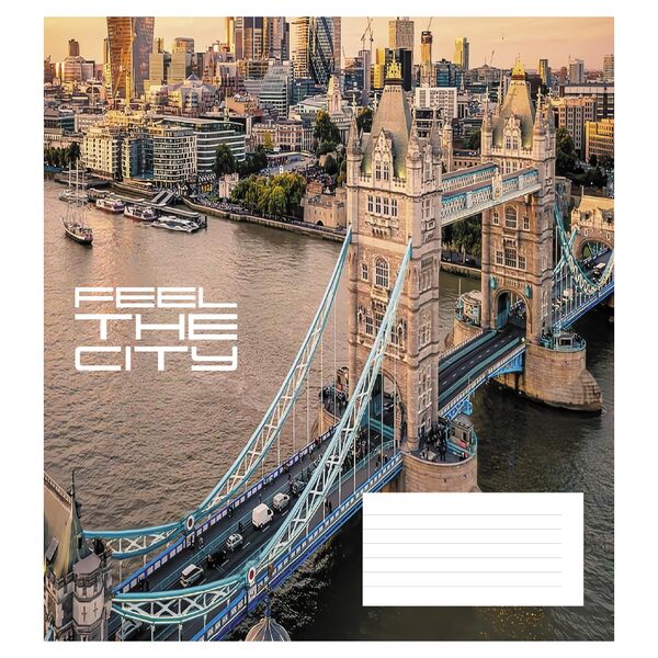 Зошит учнівський повноколірний загальний 48 арк., клітинка. Серія 274"City" Поліграфіст картинка 2