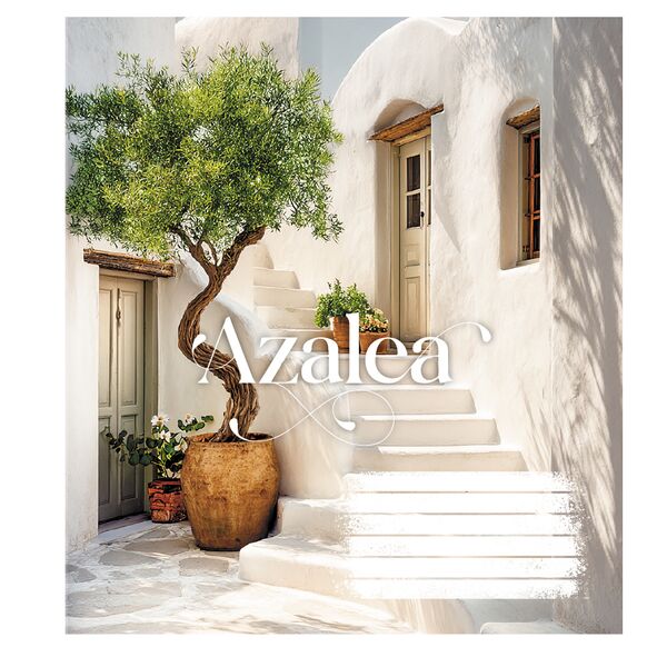 Зошит учнівський повноколірний загальний 48 арк., клітинка. Серія 276"Дворики" Поліграфіст картинка 2