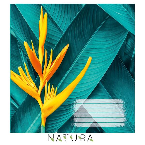 Зошит учнівський загальний 96 арк., клітинка, обкладинка повноколірна Серія 917"Natura" Поліграфіст картинка 6