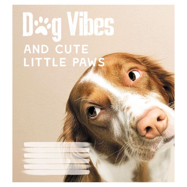 Зошит учнівський повноколірний 24 арк., клітинка. Серія 231"Dog Vibes" Поліграфіст картинка 3